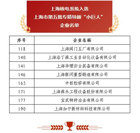上海閥門五廠 以突破性閥門基礎(chǔ)軟件躋身“小巨人”，砥礪前行無畏創(chuàng)新華章
